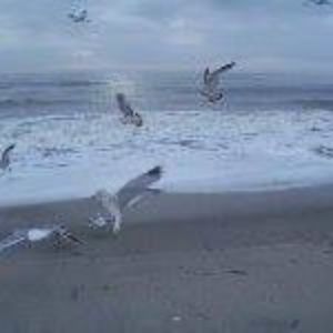 Meet your Posher, Terri